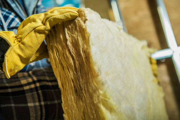Best Wall Insulation Contractor  in Grant City, MO