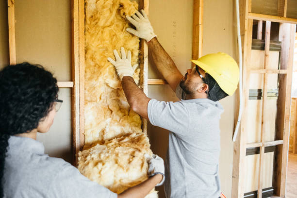 Attic Insulation Near Me in Grant City, MO
