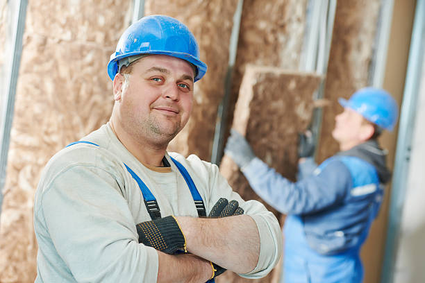 Best Cellulose Insulation  in Grant City, MO